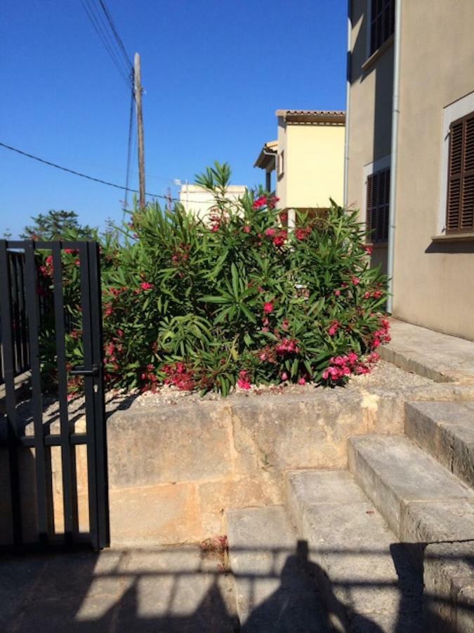 Chalet Font De Sa Cala Ngoại thất bức ảnh